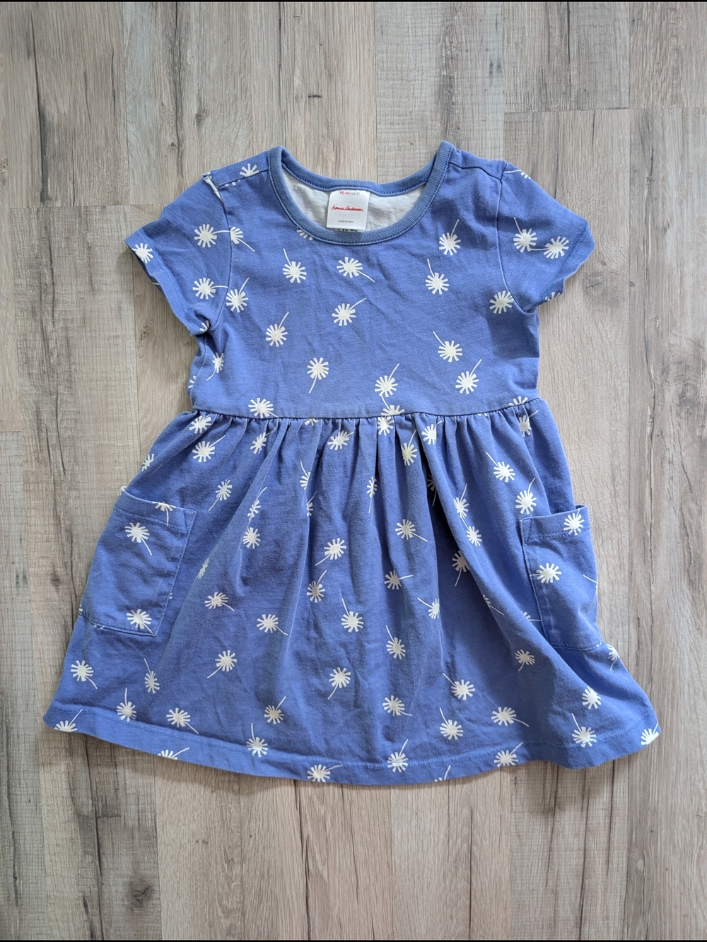 Hanna Andersson Periwinkle Daisy Pocket Dress, 3T (V9)